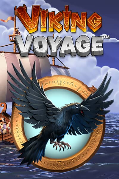 Viking Voyage